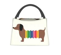 QIOEURYU Lunch Tote Bags Insulated 1pc Rainbow Dachshund - Reusable Portable Bento for Daily Outings and Non-Food Contact for School Work Travel Outdoor Picnic