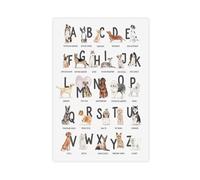 QIOTBVV Minimalist Alphabet Learning Educational Poster Canvas Poster Wall Art Decor Print Picture Paintings for Living Room Bedroom Decoration 20" L X 30" W