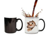 Qiuerte 1PCS Cat Heat Changing Mug, Thermal Color Changing Cup Funny Cat Heat Changing Ceramic Coffee Mug, 12 oz Heat Sensitive Color Changing Coffee Cup, Gift for Women Men Kids