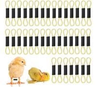 QIUMING Chick Leg Correction Band Chick Leg Clip Adjustable Hobbling Chicken Hobble Braces Effective Correction Aid to Support and Stabilise Newborn Birds (Yellow, 50)