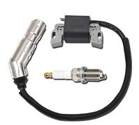 Qiuwanzia 595304 Ignition Coil for BS 799650 592841 795315 215702 215802 215807 286702 28B702 17HP 17.5HP 19.5HP 20HP Intek OHV Engine Lawn Mower for John Deere L110 Armature Magneto