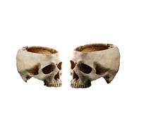 Qivange Skull Planter Resin Skull Head Plant Flower Pot Halloween Decorations Bowl for Home Office Desk Festival Decor, Pack of 2