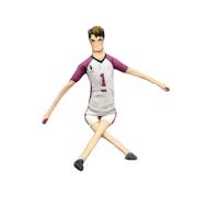 Qixiaan Hinata Shoyo Plush Figure Cartoon Human Shaped Cushions Plush Stuffed Pillow Abstract Figurine for Car Home Funny Pillow Gifts