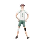 Qixiaan Hinata Shoyo Plush Figure Cartoon Human Shaped Cushions Plush Stuffed Pillow Abstract Figurine for Car Home Funny Pillow Gifts