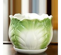 Qiydia Cabbage Ceramic Flower Pot with Tray, Indoor Outdoor Plant Pot Decorative Flower Pot Planter Container for Desk, Window Sill, Office, Home Decor, 16x16x14cm(6.5x6.5x5.5)