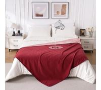 QIYI Waterproof Blanket for Bed Couch Sofa, Washable Reversible Throw King Size, Leakproof Spill-Proof Mattress & Furniture Protector for Adults Couples Dogs Cats, 150x200cm, Burgundy/Pink