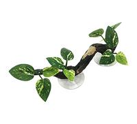 QIYUDUOLA Reptile-Climbing Branch Terrarium Plant Suction Cup Aquariums Decoration Simulate Aquatic-Plant Reptiles Tree