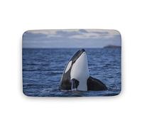 Qjjinxior Bath Mat, Killer Whales Orca Door Mat, Super Absorbent Washable Rug for Bathroom Kitchen Entrance 50x80 Cm