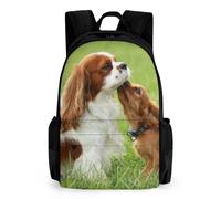 Qjjinxior Daypack, Cavalier King Charles Spaniel Backpack, Rucksack with Pockets for Hiking Camping Travel