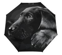 Qjjinxior Folding Umbrella, Black Labrador Puppy Art Umbrella, Travel Umbrella for Windproof, Rainproof