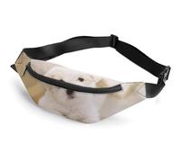 Qjjinxior Waist Bag, Lovely Maltese Dog Bumbag, Adjustable Fanny Pack for Running Walking Hiking