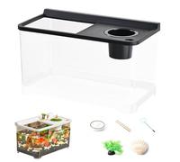 Qkbuza Aquarium for Betta with 3 Colorful Lights | High Transparency Aquarium - Ecosystem for Office Table Living Room Bedroom Entrance Planning