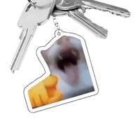 Qkbuza Cute Cat Keyring, Acrylic Cute Cat Keyring, Flat Animal Charm Fashion Accessory for Backpack, Handbag, School Bag, Adults, Teens, Couples Classmates, Laughing at the Cat, Se référer au
