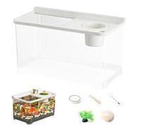 Qkbuza Small Aquarium Lights 3 Colours, Aquarium High Transparency, Ecosystem for Office Table Living Room Bedroom Entrance