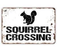 QKIODS Metal Sign Squirrel Crossing Vintage Forest Tin Sign Wall Ornament Coffee And Bar Decor Home Sign Gift 8X12Inch