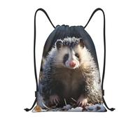 QLDETUPWLX Drawstring Backpack Opossum In Snow Drawstring Bags Sports Sackpack Gym Cinch Sack for Women Men
