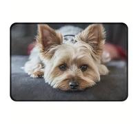 QLGLK Cute Mini Yorkshire Carpet Terrier Doormat Inside Floor Mats Rugs Carpet for Living Room Bedroom Office Dorm Home Decor (40X60CM)
