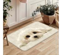 QLGLK Dog Pattern Doormat Inside Floor Mats Rugs Carpet for Living Room Bedroom Office Dorm Home Decor for Pet Raising Families Welcome Door Mat Beautiful Carpet (50X80CM)