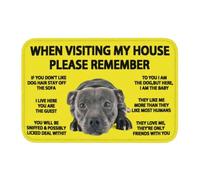 QLGLK Yorkshire Terrier Front Door Floor Doormat Inside Floor Mats Rugs Carpet for Living Room Bedroom Office Dorm Home Decor (45X75CM)
