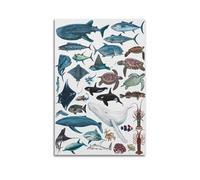 QLLS Marine Life Poster Collection Decorative Canvas Family Bedroom Artwork Picture Painting 12x18inch(30x45cm)