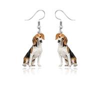 QLUYCKW Funny Animal Earring for Women Cute Acrylic Bunny Cow Chicken Pig Squirrel Dogs Cats Rooster Hedgehog Dangle Earrings Cute Cartoon Farm Earrings Country Animal Jewelry Gifts, Acrylic, No