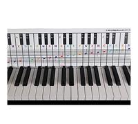 QMG Keyboard Chart behind the Keys - Colour-Coded Notes - 61 Keys - Piano Learning Aid
