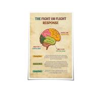 QMIQXIWS Brain Anatomy & Trauma - The Fight or Flight Response Nervous System Chart, Mental Health Education Wall-Art for Office and Classroom(Framed,12x18inch(30x45cm))