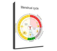QMKADFQXF Fertility Awareness Menstrual Cycle Chart Poster Wall-Art for Home Office(Framed,08x12inch(20x30cm))