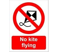 QMKADFQXF Restricted No Kite Flying Allowed Rustic Tin Sign Weathered Plaque For Power Line Area Substation Transformer Station Utility Pole 8 X 12 inch