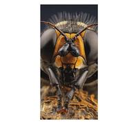 QMKFWT A Black Fly Beach Towels Extra Large, Quick Dry Absorbent Multipurpose, Oversized Beach Towel, Sand Free Foldable Lightweight, Travel Towel, for Beach Pool Camping Travel Vacation, 63x31.5 in