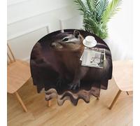 QMKFWT A Chipmunk Printed Round Tablecloth,Dust-Proof Wrinkle Resistant Table Cover Washable Polyester Table Cloth for Kitchen Dining Room Farmhouse Picnic Indoor Outdoor(Round 60 Inch)