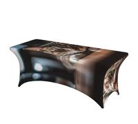 QMKFWT A Tabby Cat Decorative Tablecloth Protector for Wedding, Banquet & Parties6FT Spandex Rectangle Tablecloths, Stretch Washable Table Cloth Wrinkle Free Patio Table Cover
