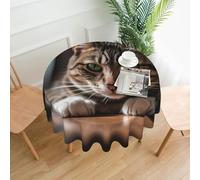 QMKFWT A Tabby Cat Printed Round Tablecloth,Dust-Proof Wrinkle Resistant Table Cover Washable Polyester Table Cloth for Kitchen Dining Room Farmhouse Picnic Indoor Outdoor(Round 60 Inch)