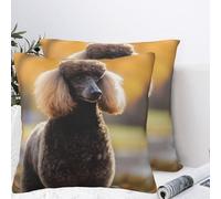 QMKFWT Beautiful Poodle Plush Throw Pillow Covers 20"X20",Soft Cozy Couch Cushion Covers Decorative Pillow Cases for Holiday Home Bedroom Sofa Decors