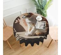 QMKFWT Cat Basking in The Sun Printed Round Tablecloth,Dust-Proof Wrinkle Resistant Table Cover Washable Polyester Table Cloth for Kitchen Dining Room Farmhouse Picnic Indoor Outdoor(Round 60 Inch)