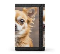 QMKFWT Cute Chihuahua Casual Wallet Credit Card Holder Premium Document Organizer Case for Men And Women