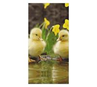 QMKFWT Cute Ducks Beach Towels Extra Large, Quick Dry Absorbent Multipurpose, Oversized Beach Towel, Sand Free Foldable Lightweight, Travel Towel, for Beach Pool Camping Travel Vacation, 63x31.5 in