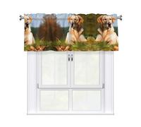 QMKFWT Cute Labrador Dog Curtain Valance for Windows,Kitchen Window Curtains Blackout Drapes Window Treatments Decorative Rod Pocket Short Curtain for Living Room Bedroom,54" W x 18" L