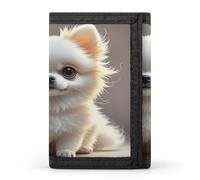 QMKFWT Cute Pomeranian Casual Wallet Credit Card Holder Premium Document Organizer Case for Men And Women