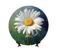 QMKFWT Daisy flower Bone China Decorative Plate,10inï¼ˆ25cmï¼‰ Ceramic Decorative Plates with Display Stand,Ceramic Ornaments Art Porcelain Plate for Home Office Wall Decor Collections Plates
