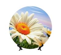 QMKFWT Daisy Flowers Bone China Decorative Plate,7in Ceramic Decorative Plates with Display Stand,Ceramic Ornaments Art Porcelain Plate for Home Office Wall Decor Collections Plates