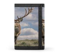 QMKFWT Elk Casual Wallet Credit Card Holder Premium Document Organizer Case for Men And Women