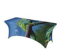 QMKFWT Green Lizard Decorative Tablecloth Protector for Wedding, Banquet & Parties6FT Spandex Rectangle Tablecloths, Stretch Washable Table Cloth Wrinkle Free Patio Table Cover