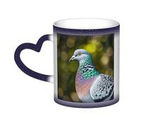 QMKFWT Grey Pigeon Coffee Mugs 11 Oz Heat Sensitive Starry Sky Color Changing Mugs, Ceramic Magic Cup with Handle Personalized Tea Cups Novelty Coffee Cup Gift for Women Men Blue