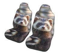 QMKFWT Hairy Ferret Printed 2 Pcs Automotive Seat Covers for Front with Elastic Straps Car Protector Seat Covers for Car SUV Truck