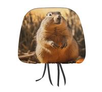 QMKFWT Hand Drawn Groundhog Car Seat Headrest Cover Adjustable and Reusable Anti-Dirty Flexible Hear Rest Covers Soft Dust-Proof Car Seat Headrest Protector for Most Vehicles