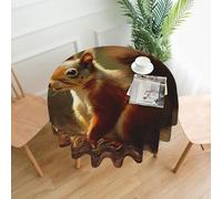 QMKFWT Hand Drawn Squirrel Printed Round Tablecloth,Dust-Proof Wrinkle Resistant Table Cover Washable Polyester Table Cloth for Kitchen Dining Room Farmhouse Picnic Indoor Outdoor(Round 60 Inch)