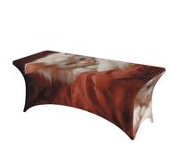 QMKFWT Hazy Cat Decorative Tablecloth Protector for Wedding, Banquet & Parties6FT Spandex Rectangle Tablecloths, Stretch Washable Table Cloth Wrinkle Free Patio Table Cover