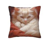 QMKFWT Hazy Cat Print Throw Pillow Covers Decorative Pillow Cover Square Cushion Cases Soft Cushion Cover Throw Sofa Pillow Case for Home Decor Living Room Bed Couch Car 18"x18"