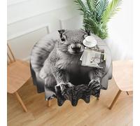 QMKFWT Light Gray Squirrel Printed Round Tablecloth,Dust-Proof Wrinkle Resistant Table Cover Washable Polyester Table Cloth for Kitchen Dining Room Farmhouse Picnic Indoor Outdoor(Round 60 Inch)